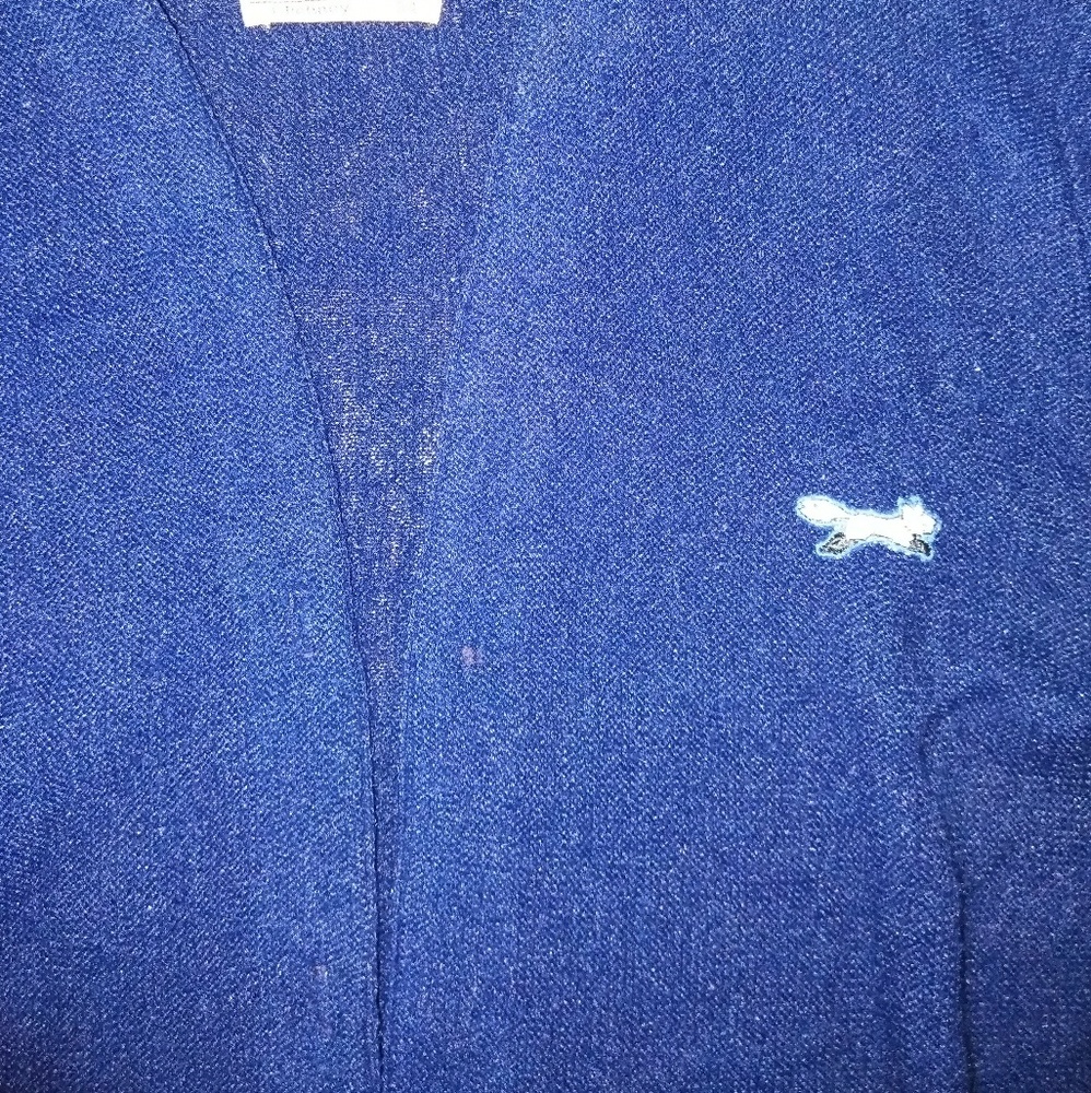 🐿️Cute Fox Cardigan